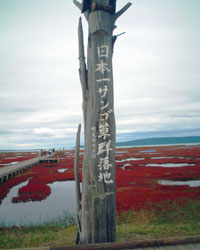 �K�����T���S���Q���n8