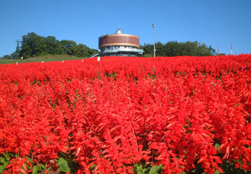 �͂ȁE�Ă��1