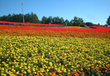 �͂ȁE�Ă��5