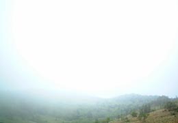 ���̔��y��2�iT.M.�񋟁j