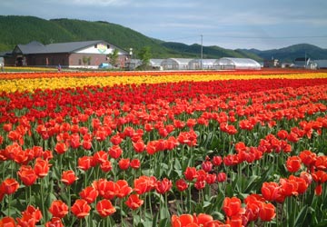 ��N�ʒ��`���[���b�v����4