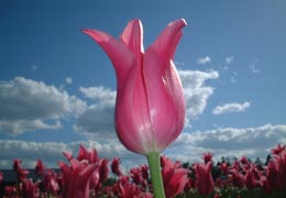 ��N�ʒ��`���[���b�v����7