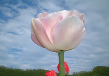 ��N�ʒ��`���[���b�v����12