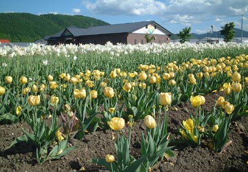 ��N�ʒ��`���[���b�v����13