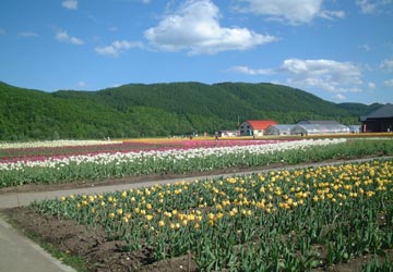 ��N�ʒ��`���[���b�v����14