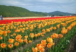 ��N�ʒ��`���[���b�v����16