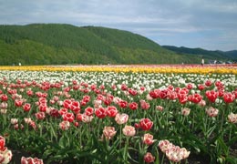 ��N�ʒ��`���[���b�v����19