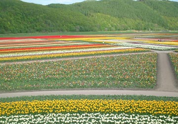 ��N�ʒ��`���[���b�v����20