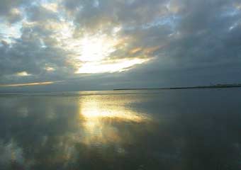 ��Y�l�̗[��1