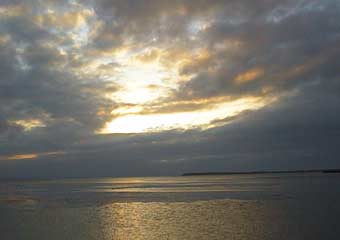 ��Y�l�̗[��2