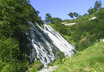 �I�V���R�V���̑�1