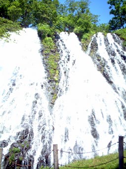 �I�V���R�V���̑�2�iT.M.�񋟁j