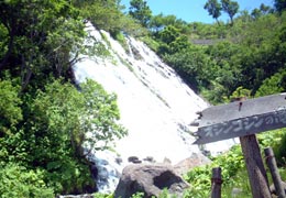 �I�V���R�V���̑�3�iT.M.�񋟁j