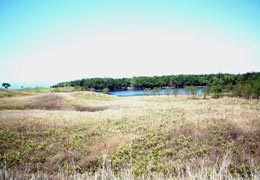 �W�]�䂩��݂����m���܌�