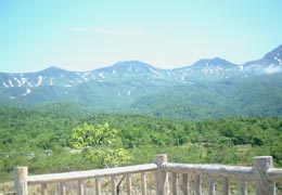 �m���܌΂̓W�]�䂩��݂��m���A�R