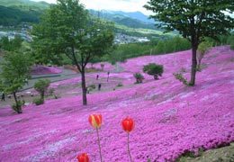 ������10