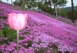 ������11