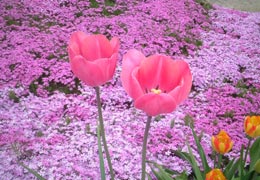 ������12