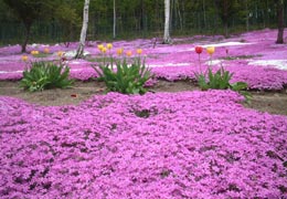 ������13