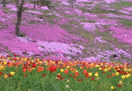 ������14