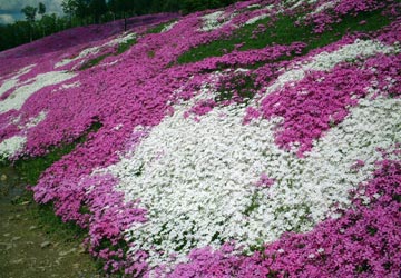 ������16