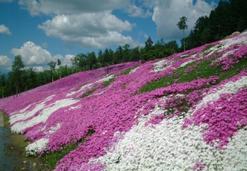 ������17