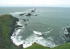 �ݏ֖��̕��i1