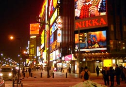 �������̓�����t��