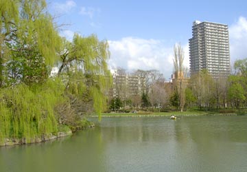 ���������̕��i1