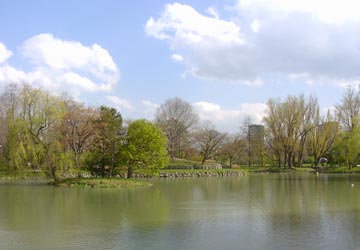 ���������̕��i2