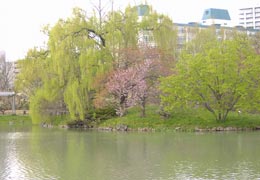 ���������̕��i3