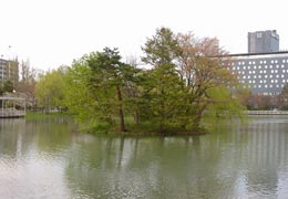 ���������̕��i4