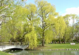 ���������̕��i5