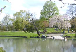 ���������̓��{�뉀2