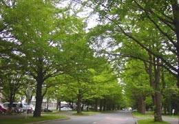 ��Ǖ��ؓ�2