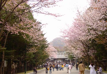 �k�C���_�{1