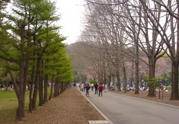 �~�R����1