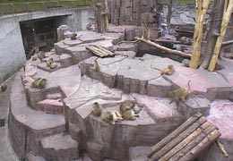 �~�R�������̉��R