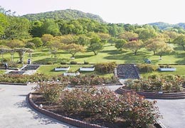 �������o����14