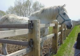 �T�b�|�����Ƃ���3