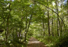 ��y�X�ь���1