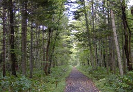 ��y�X�ь���2