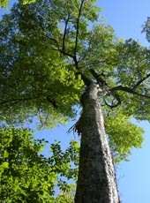 ��y�X�ь���3