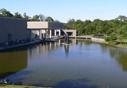 �D�y�|�p�̐X2