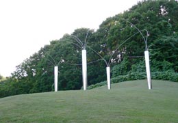 �D�y�|�p�̐X4