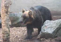 �������イ��1