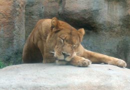 �������イ��2