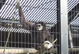 �����T����