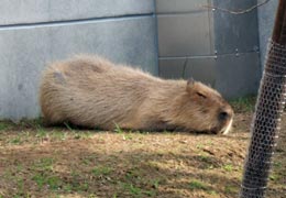 ��������E���҂΂��2