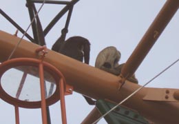 ��������E���҂΂��3